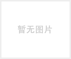 台湾嵘钢十字转向机 印刷机专用